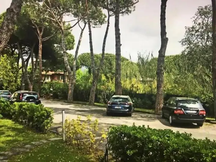 La Rosa Del Deserto, Versilia Marina di Massa